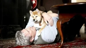 Sempre ao Seu Lado - A incomparável lealdade de um amigo que desafiou o tempo e o espaço