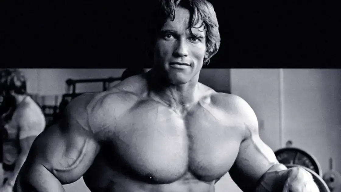 Arnold Schwarzenegger - As lições de um ícone do fisiculturismo que conquistou Hollywood e o coração do público