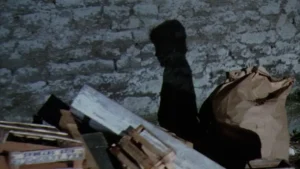 A Fantástica Fábrica de Chocolate - Um menino, uma fábrica e as escolhas que moldaram seu futuro longe das câmeras